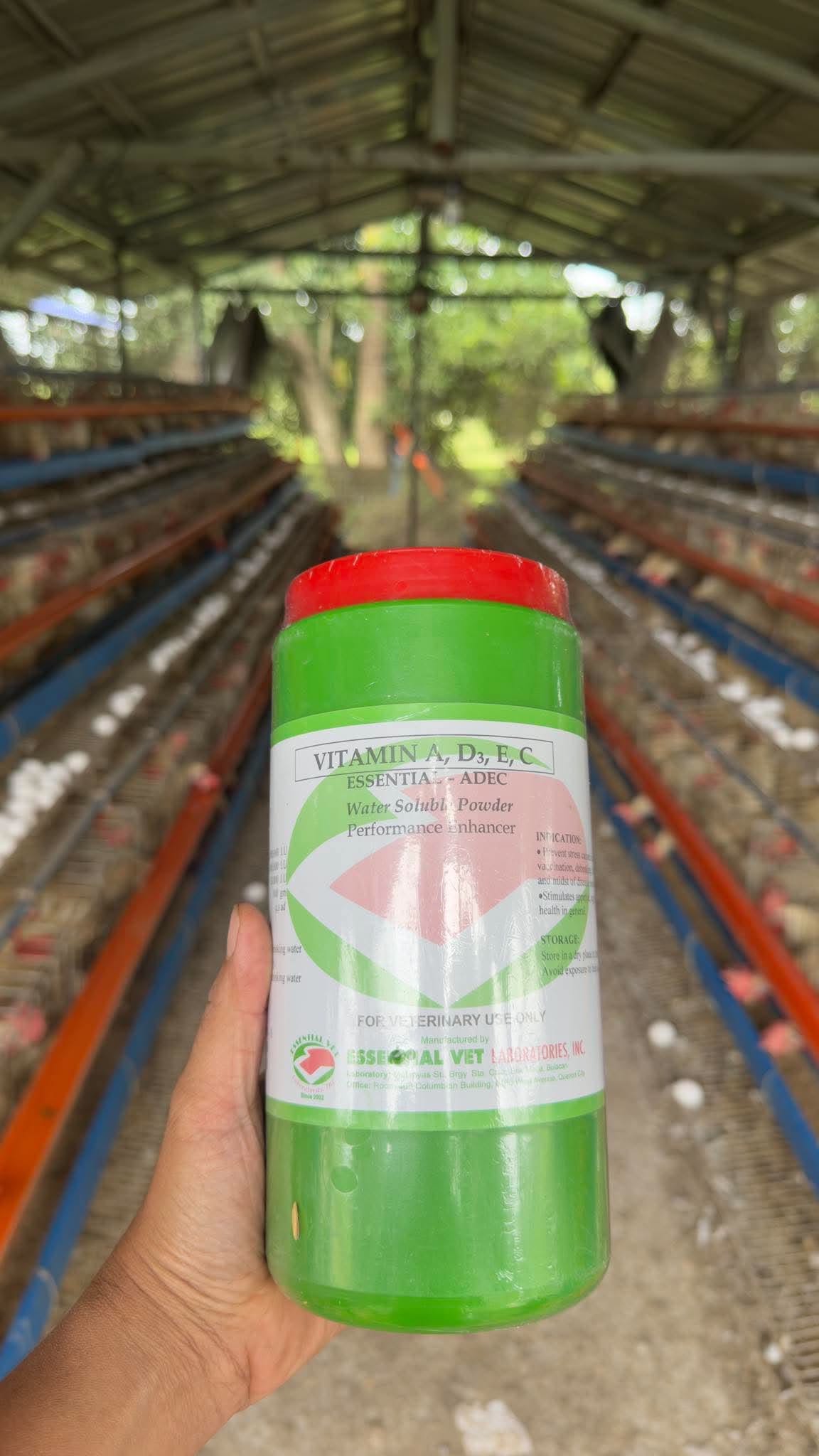Vitamin A, D3, E, C water soluble powder for our hens, by Essential Vet Laboratories